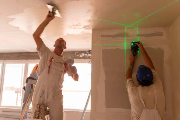 Best Water-Damaged Drywall Repair  in Bradley, IL